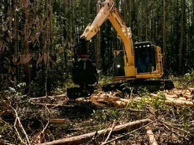 Land Clearing Services Memphis in Memphis